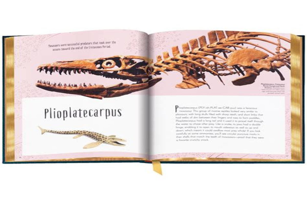 The Complete Guide to Freddie Jackson's Wife